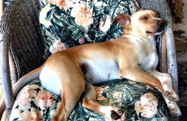 Nocini di Maremma - Photo 52