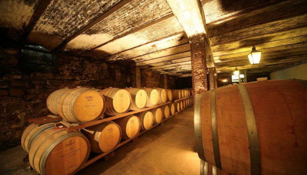Cava de vinos