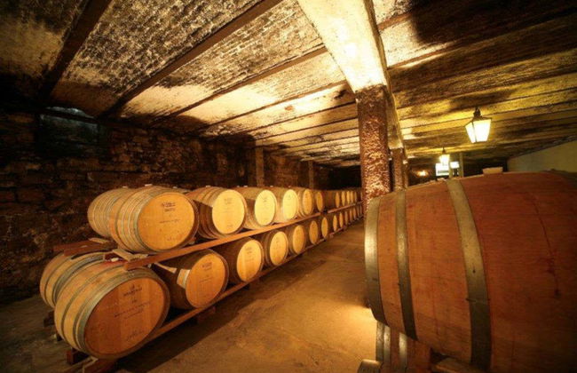 Visita a Bodegas Carrau - Foto 3