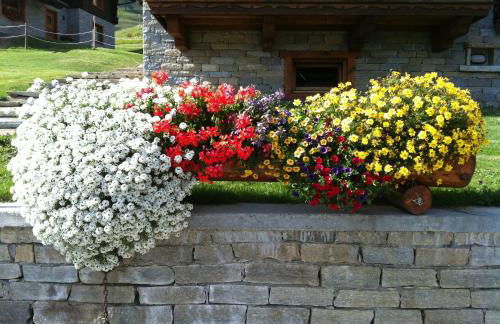 Residence Lo Peyo - Foto 30