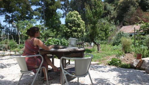 ribeira dos marinheiros amarelo - Foto 3, Garden