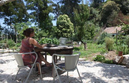 ribeira dos marinheiros vermelho - Foto 5