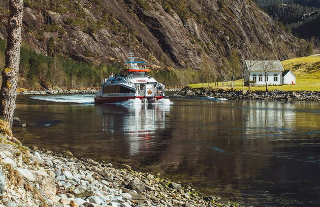 Mostraumen Fjordkreuzfahrt – von Einheimischen betrieben & geführt - Foto 15