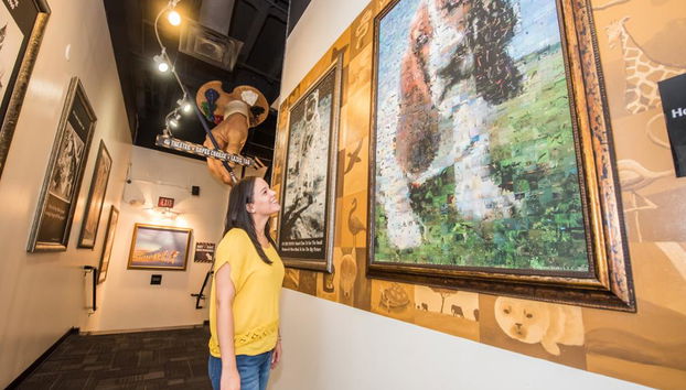 WonderWorks Outta Control Dinner Show - Photo 4