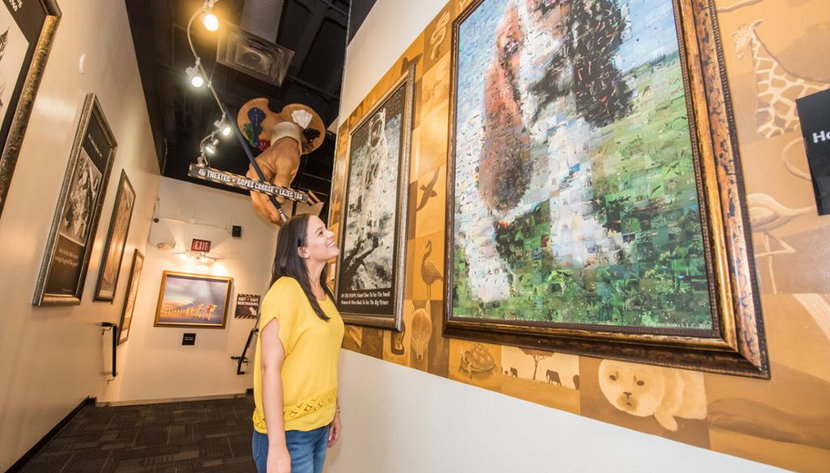 WonderWorks Outta Control Dinner Show - Foto 3