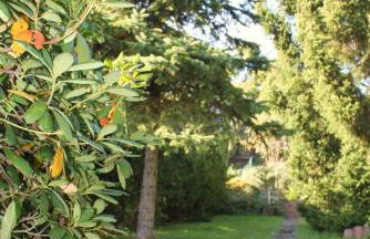 Ferienhaus Harzblick - Foto 34