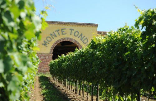Monte Tondo Winery - Foto 75