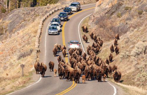 Western on Weaver Belgrade MT - Foto 22