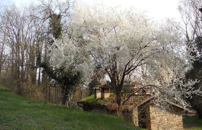 La Cartiera dei Benandanti - Foto 49