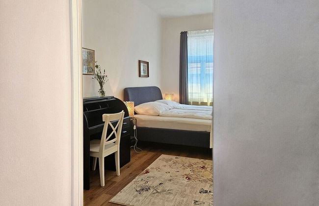 Orange Palm - Foto 6