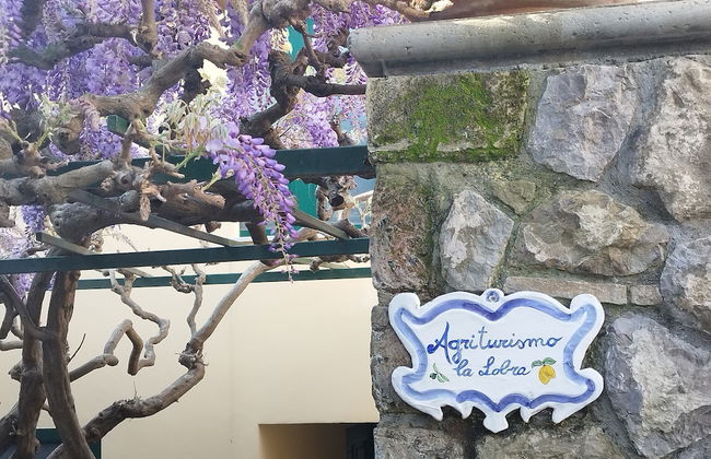 Agriturismo La Lobra - Photo 73