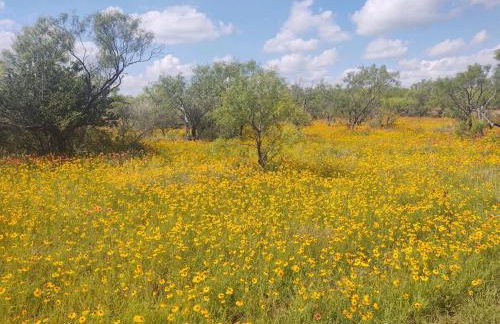 Gorgeous, secluded escape near River with Game room! - Photo 49