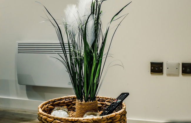 Bv Cosy Basement Apartment At Conditioning House - Photo 53