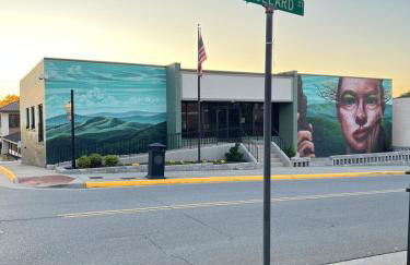 3 Bedroom - Boho By the Star - Cozy Home Close to Downtown Roanoke - Foto 23