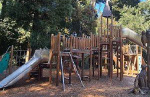 Estudio Camelia - Foto 33