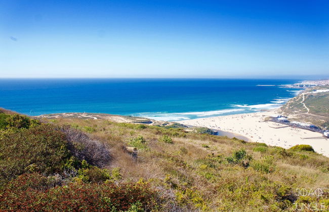 João Jungle - Foto 78