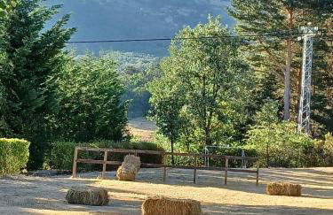 El Molino de Candelario - Foto 10