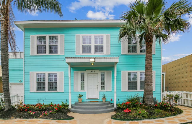 The Turquoise Turtle - Foto 28