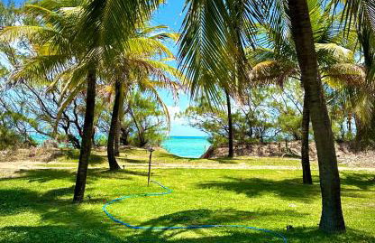 Casa da Gameleira - Foto 39