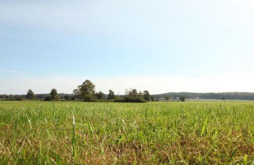 Auszeit zu zweit - Usedom Ferienwohnungen Tannengrund - Foto 41