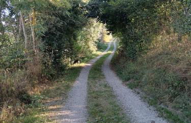 Gîte du Tilleul - Foto 36