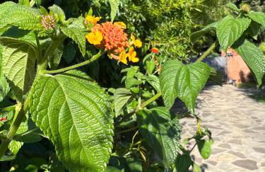 CivicoNove - Foto 44