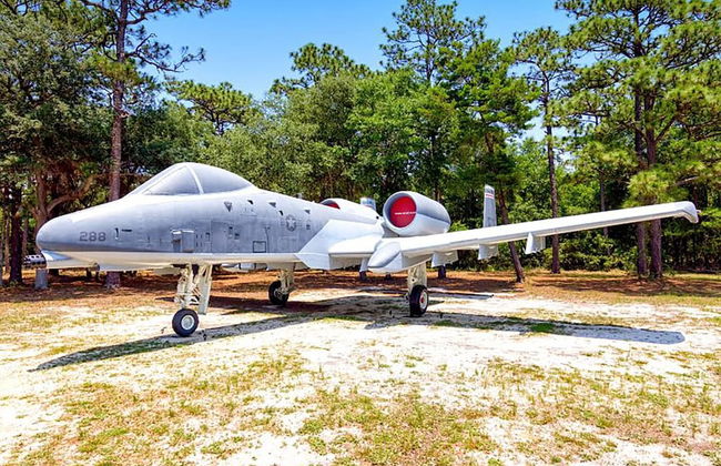 Sandy Feet - Foto 45