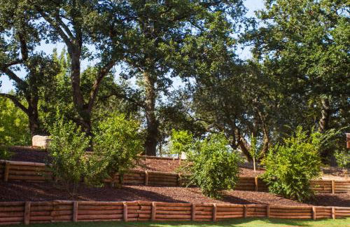 Quinta de Lograssol - Foto 28