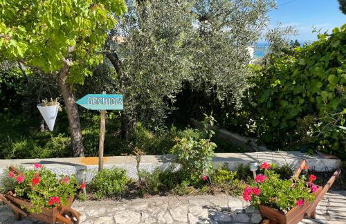 B&B Case Vacanza Orchidea marina di Macchia a Mattinata Gargano - Foto 49