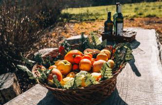 Quinta da Alqueidosa - Casa de Campo - Foto 32