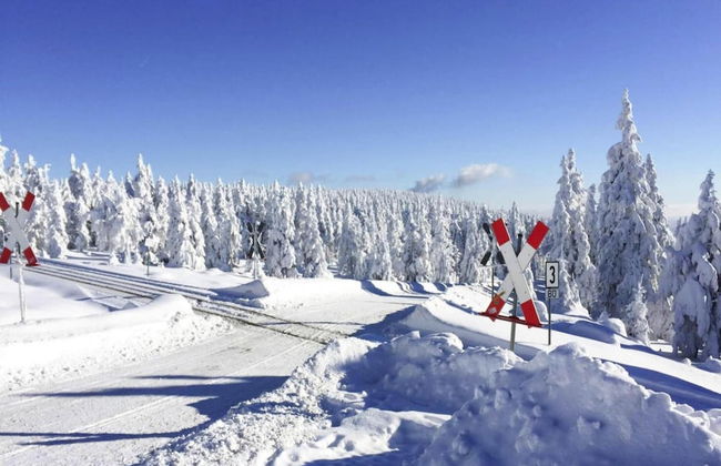 Ferienhauser, Torfhaus Harz - Foto 24