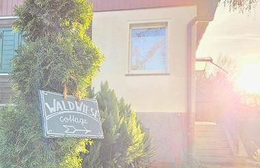 WALD WIESE cottage - Foto 21