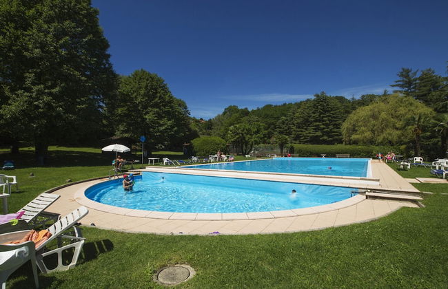 Rododendro Rosso in Ispra - Foto 1