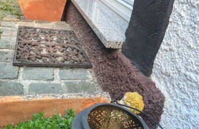 Ferienwohnung schöner Rheingau - Foto 24