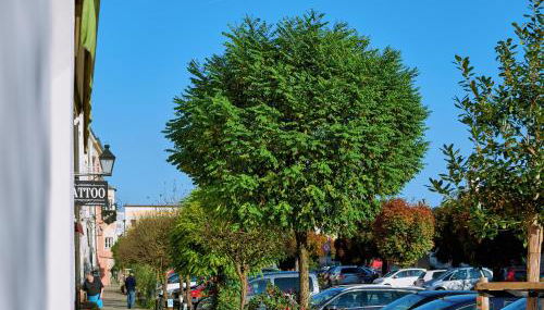 Ferienwohnung Tittmoning zwischen Salzburg, Burghausen und Österreich - Foto 3