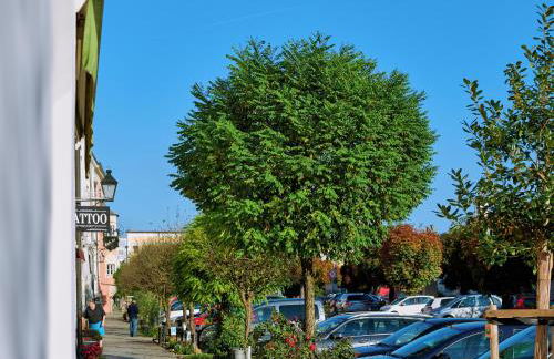 Ferienwohnung Tittmoning zwischen Salzburg, Burghausen und Österreich - Foto 3