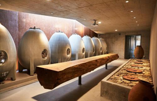 Gästehaus im Weingut am Stein - Photo 22