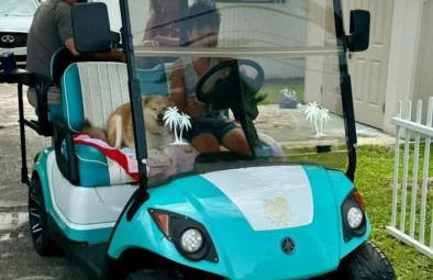 The Lake House on Lake Rosalie - Foto 23