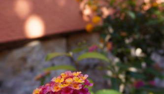 Ferienwohnung Ufer - Urlaub in der Sächsischen Schweiz - Foto 5, Other