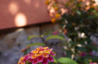 Ferienwohnung Ufer - Urlaub in der Sächsischen Schweiz - Foto 5