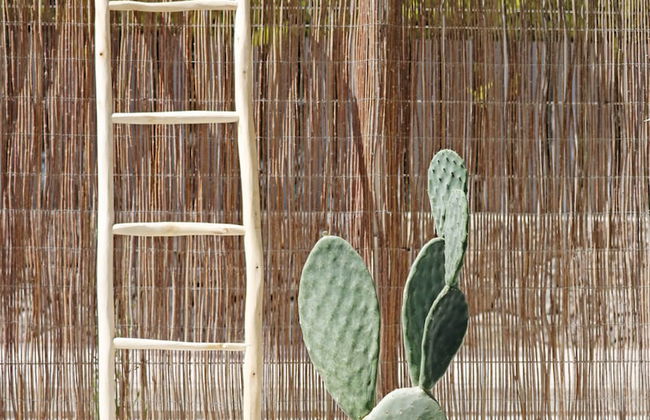 Bonavida Apartments - Foto 55