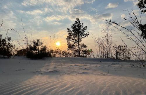 Golden Apartment Rogowo - Foto 42