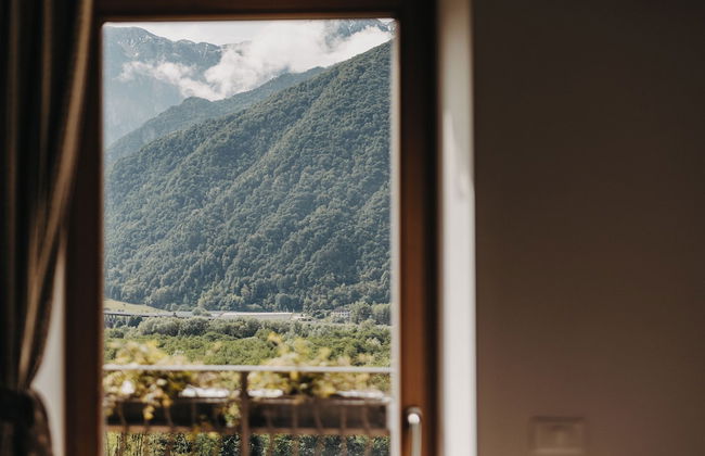 Coronata Haus - Photo 47