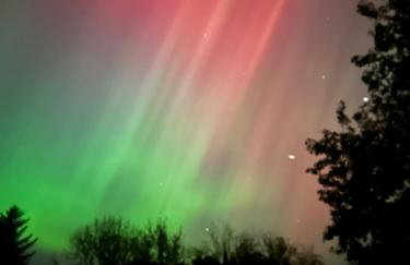 Forest Path luxury Studio Apartment with large bedroom bathroom and sauna Sleeps up to 4 - Photo 39