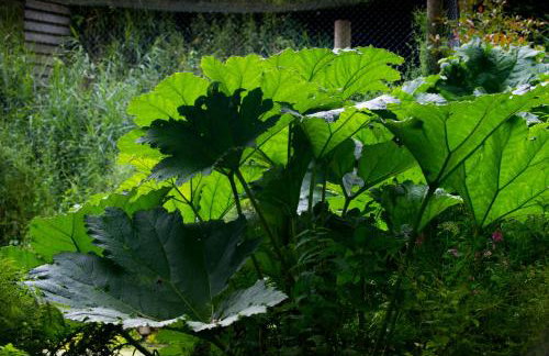 Bird Nest - dine with the eagles Private Retreat - Foto 18