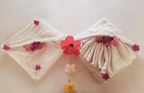 Côco Verde - Pousada Icaraí Kite Village - Foto 27