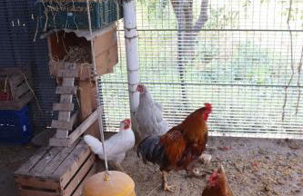 Casale Morillo - Foto 59