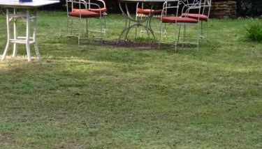 Villa Alfonsina - Foto 2