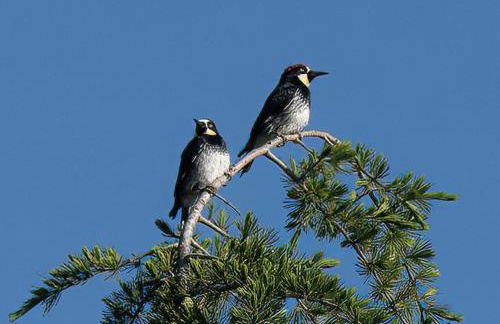 Relax and Rejuvenate- Lafayette Treehouse with Cave Spa, Waterfall, and Incredible Views - Foto 74