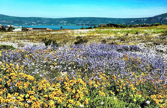 The Nook, Langebaan 4-Sleeper - Foto 30